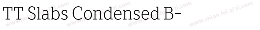 TT Slabs Condensed B字体转换